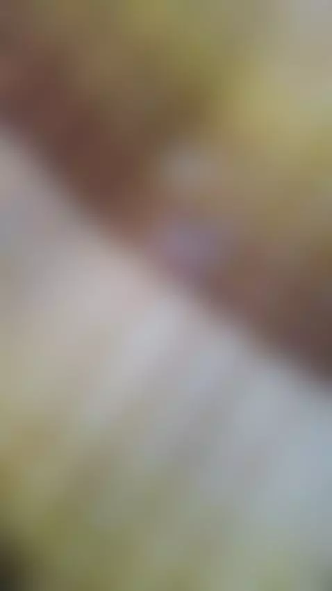 corrida by 6969piscis