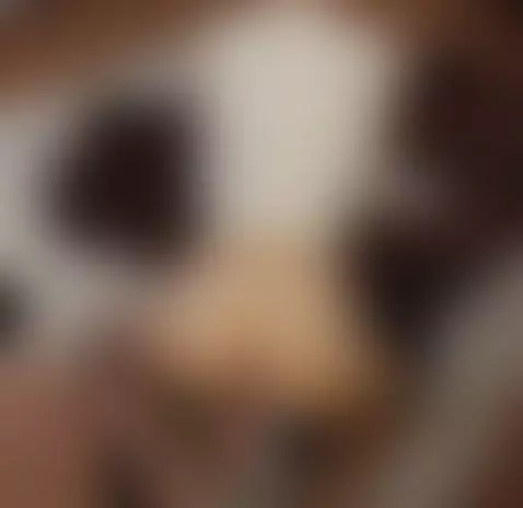 🤠 “Ride me like a wild cowboy, no saddle, no rules.” by oliverwest1