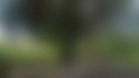 Visit veronnaink.com by veronnaink