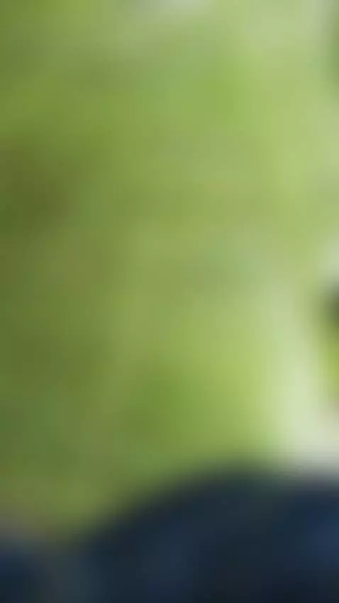 The boy is shaking his penis in the jungle by tickpoter432