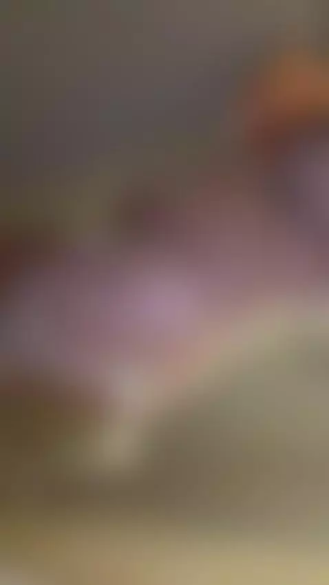 soapy tits are the best by emme25521