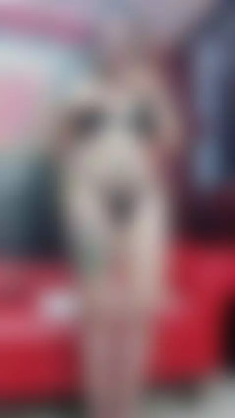 Come and see what lingerie am wearing right now 🤭💥 by isisgreyy