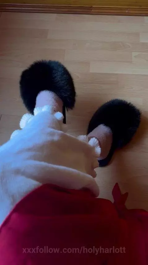 My slippers need cleaning!  who will decide to help me? by holyharlott