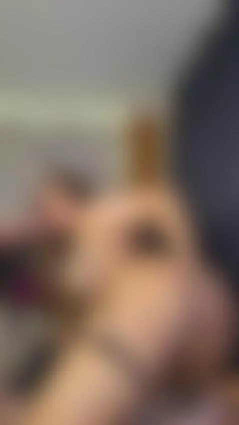 camsoda, bigass, blowjob by aliceprice-lu