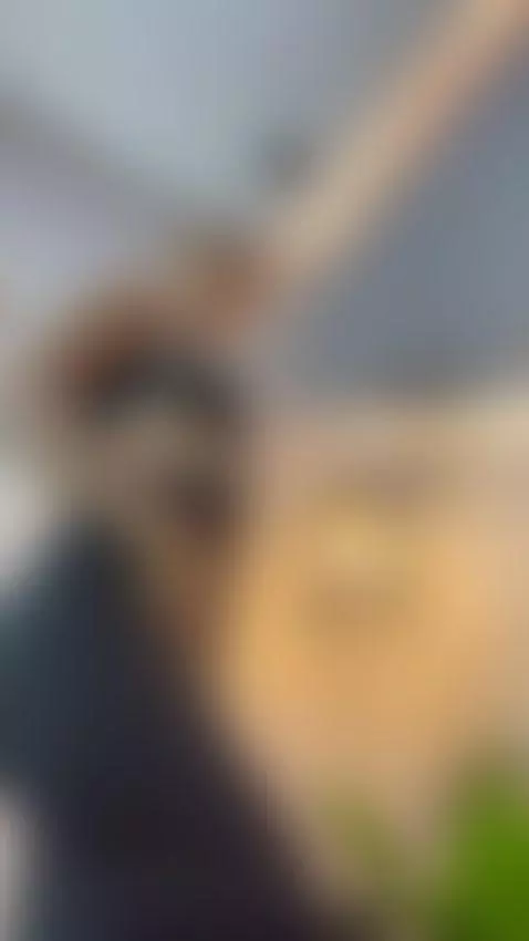 Si te gusta mirar, prepárate para no poder dejar de hacerlo ... by miasherly2