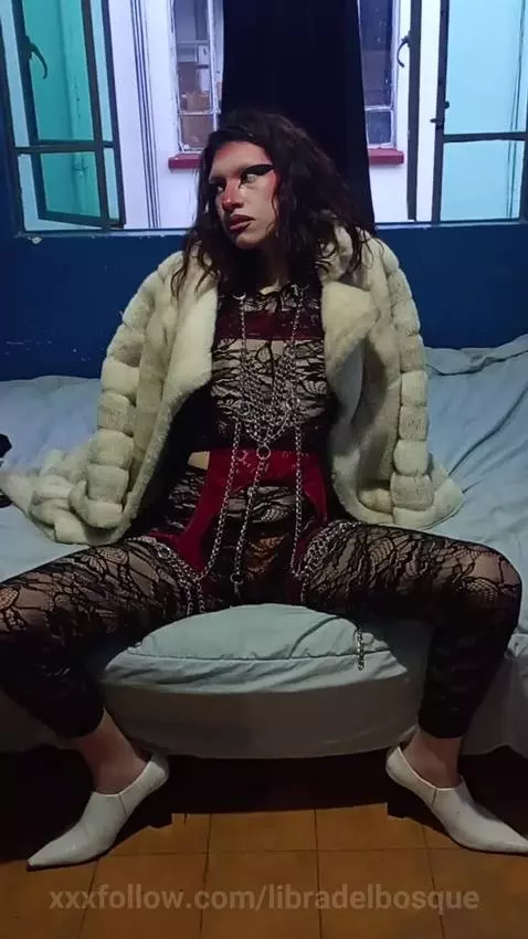 Video by libradelbosque