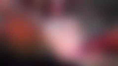 hi by libradelbosque