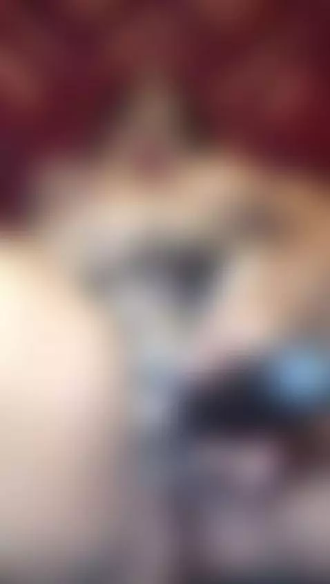 bigass, bigboobs, bigtits by alexaataylor