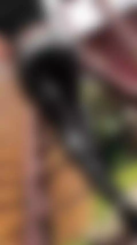 "I want to make every day we have memorable for a life time" by aleksavamp