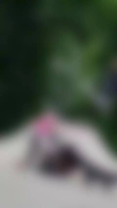 Who will fuck me? by aleksavamp