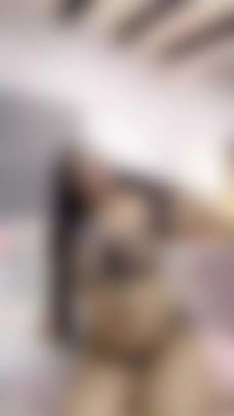 lots of attitude, and a touch of mischief by celestecox