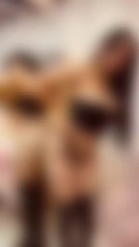 burning with secrets. by celestecox