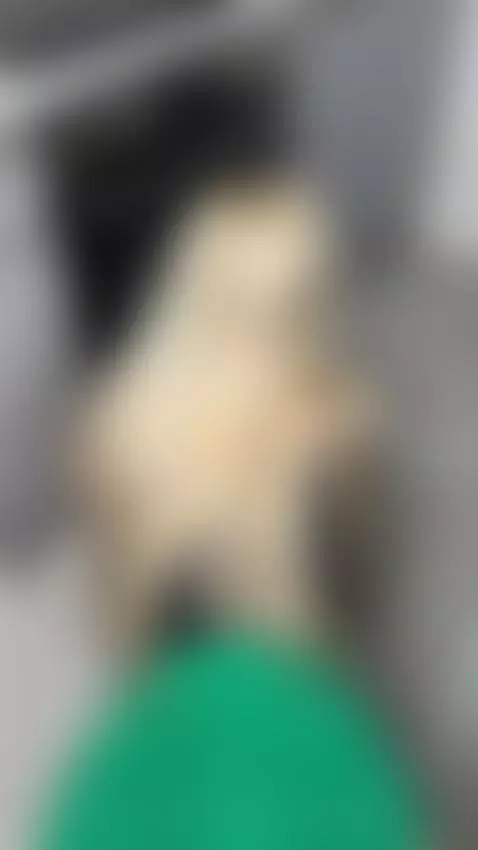 Find Me here  ☘️💋

https://ton.place/vikkishore

https://gen... by vikki2025