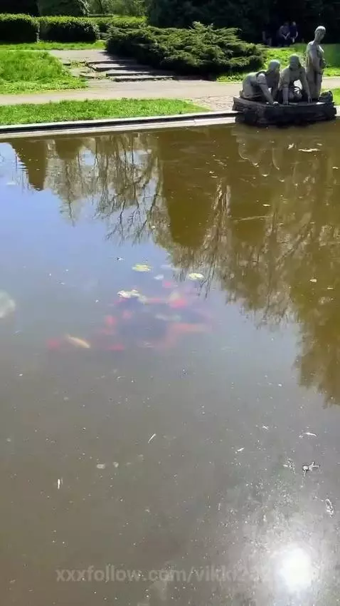 Find Me here  ☘️💋

https://ton.place/vikkishore

https://gen... by vikki2025