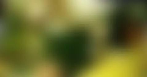 I'm in control, you pathetic loser dog, eat your cum by helenjoness