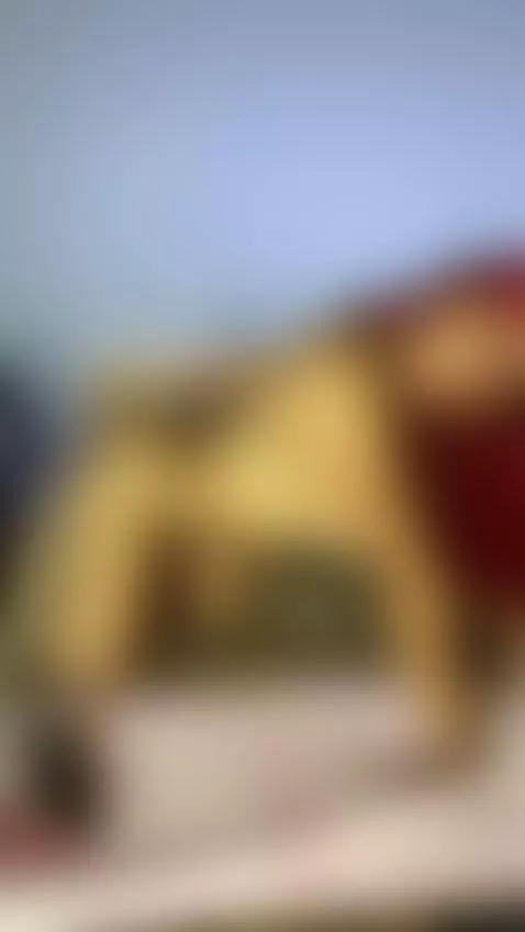 Acompañame en esta aventura by realfairyniaaa