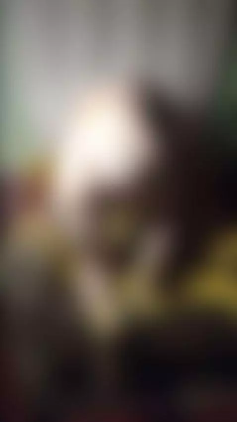 Dance Day2 Full Video On My Offical Site Linktr Link My Prof... by yaneevitalik