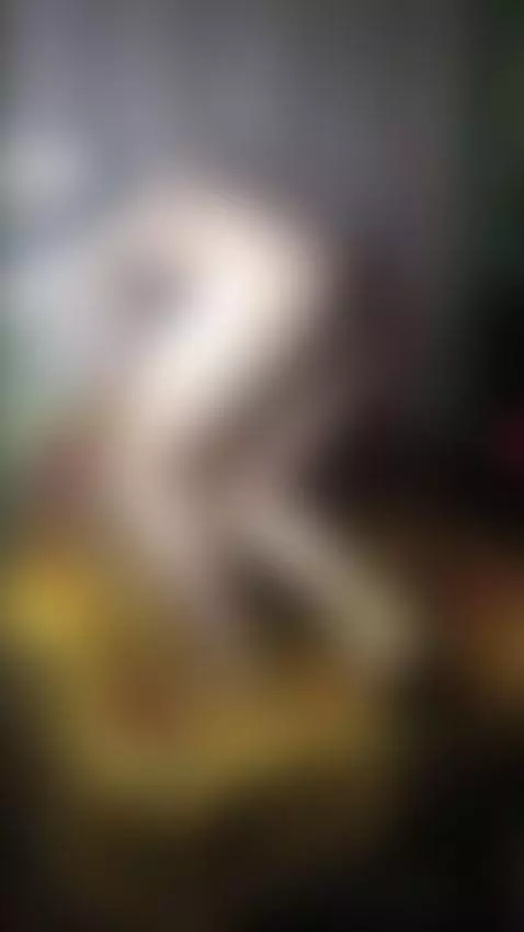 Twerk Day1 #Dance #TikTok18 #Music Full Video Link my Offica... by yaneevitalik