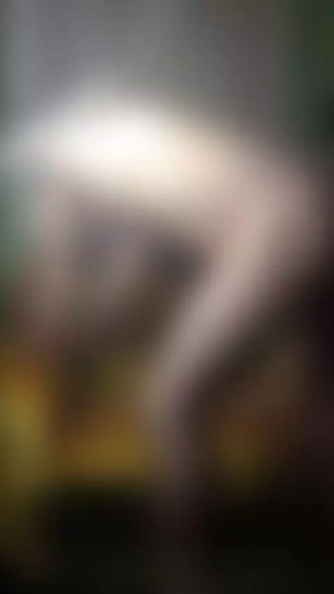 Twerk Day11 #Dance #TikTok18 #Music Full Video Link my Offic... by yaneevitalik