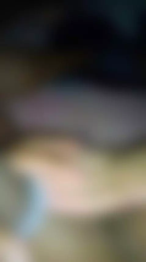 what you  think?? by houstonswildones