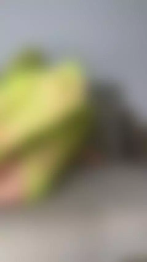 I’ll make sure you think about me long after I’m gone by wowjennifer