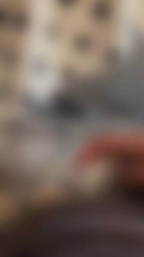 polla, sorpresa, pollagorda by cloud58