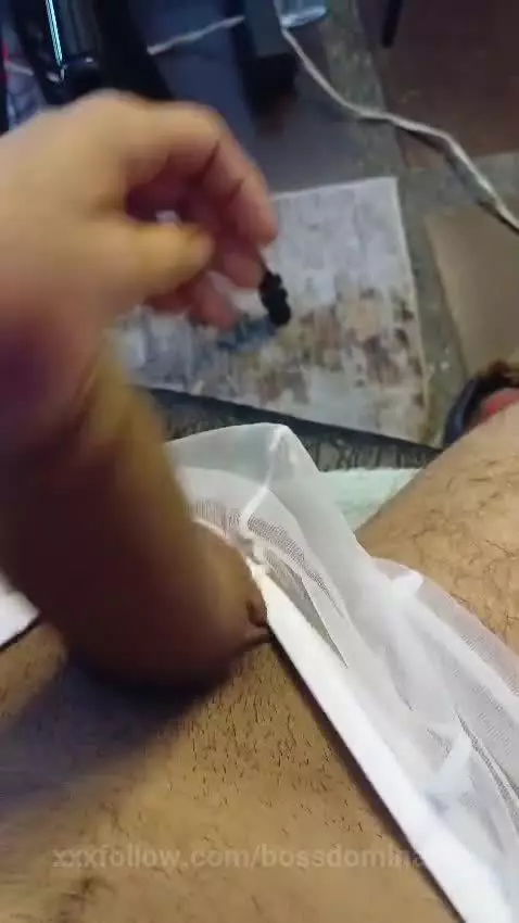 You only move when I tell you to by bossdominator