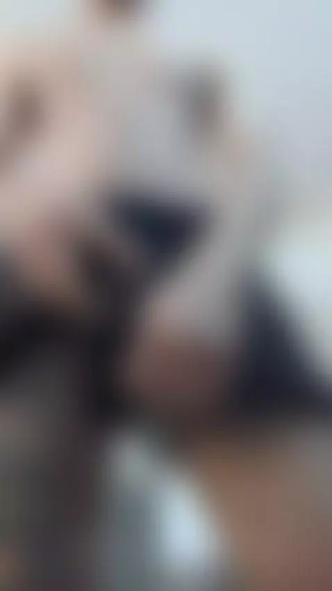 Video by bossdominator