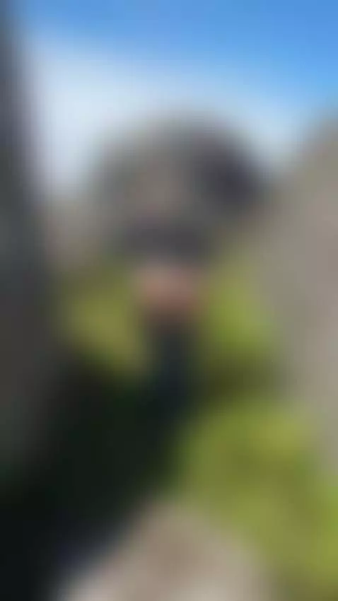 I turn and tease from behind 😈 by realstellacardo