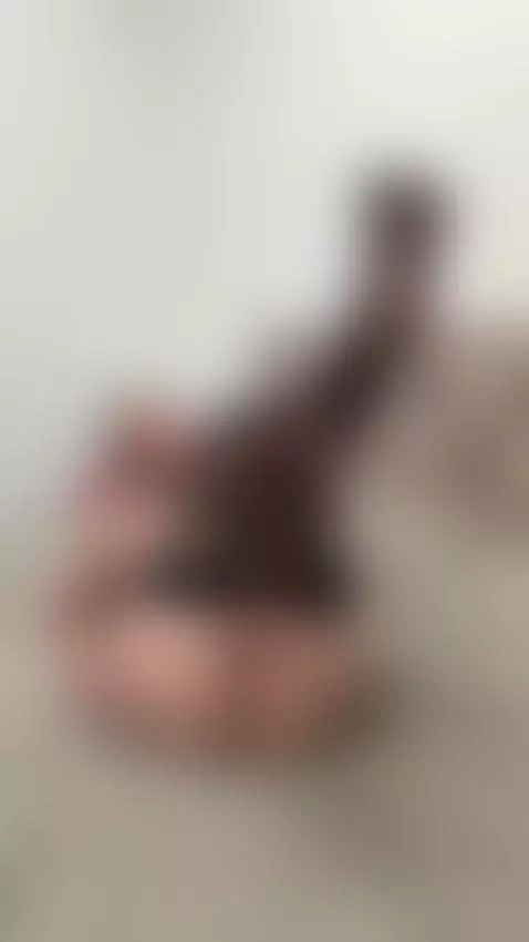 Is it harder to look away when this is all I wear? 🥵 by realstellacardo