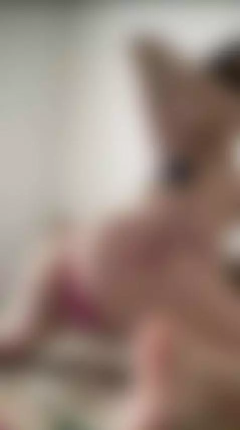 Discover her world — link in bio! 🌍 by sophiedelight