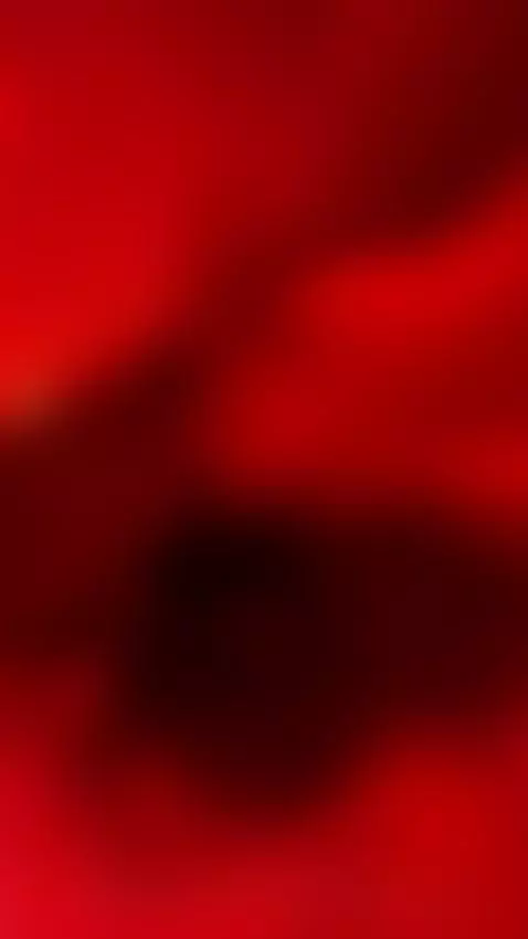 I bounce my tits while you put it inside 🔥💦🥵 by honeeymoonn