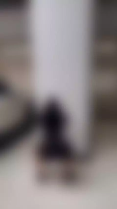 Pocas palabras, muchas intenciones. / Few words, many intent... by jannisdavies