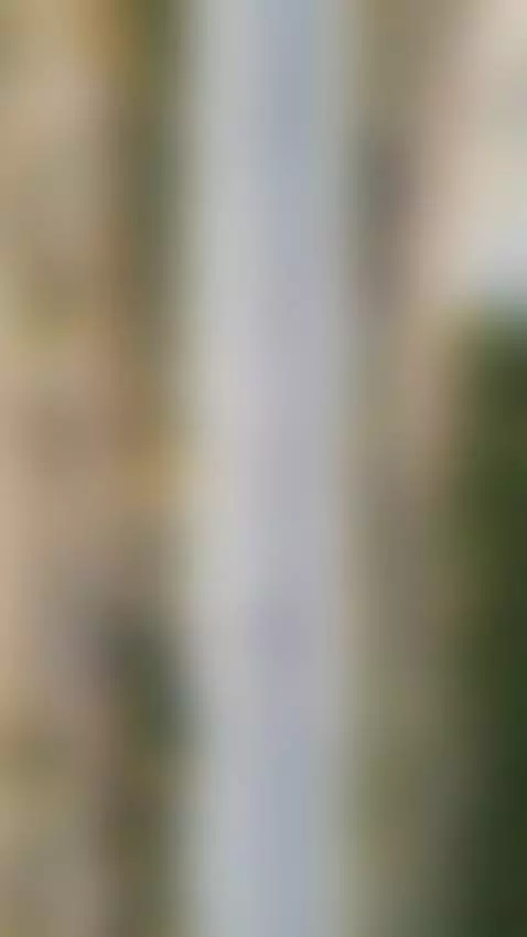 senaul by elisapeters