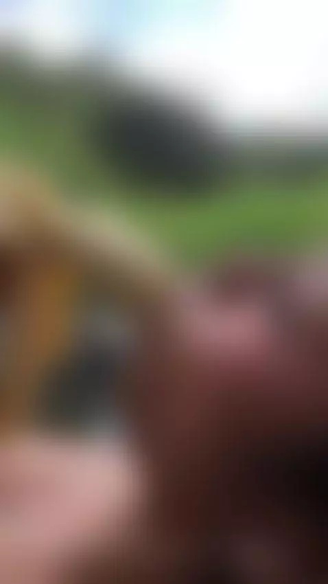 Let yourself be carried away by temptation and sensuality wi... by julisweett