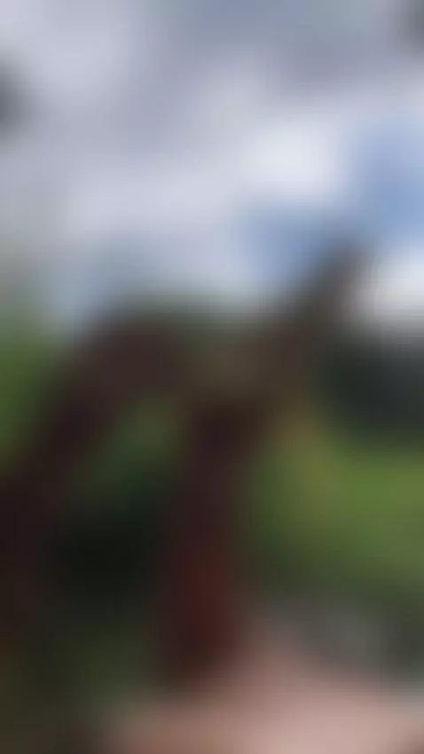 Let yourself be carried away by temptation and sensuality wi... by julisweett