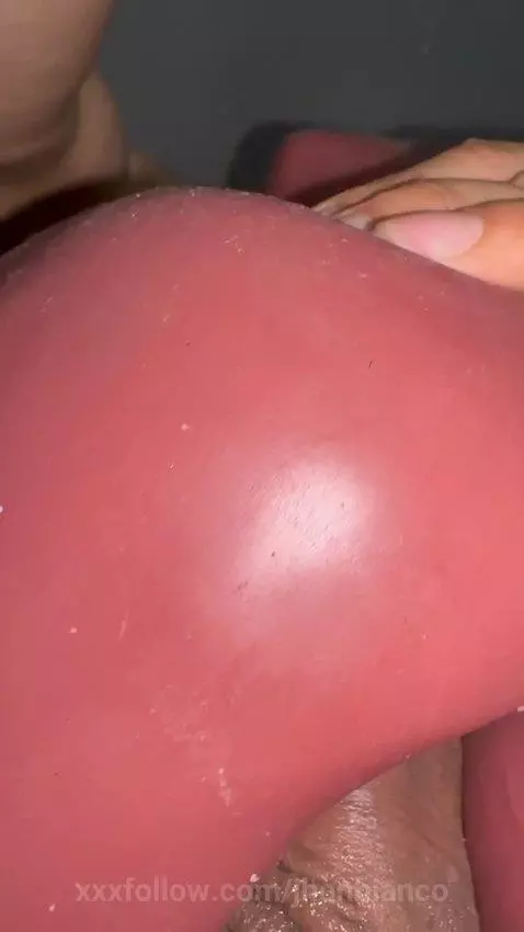 Enjoying her pussy by jhonbianco