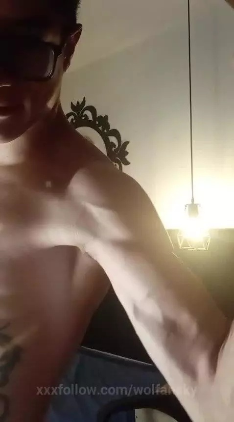 chaturbate, stripchat, streamate by wolfansky