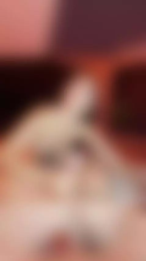 Me quedo sola en casa y se la chupo a mi hermanastro! by meticulousphase