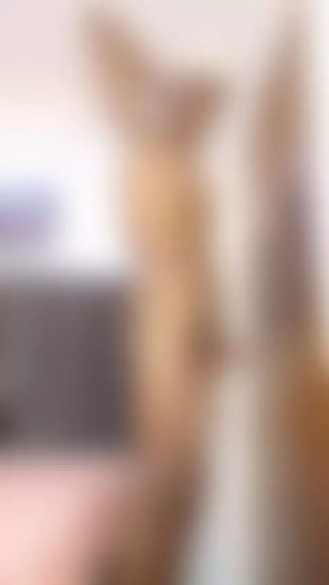 Dancing and enjoying every moment with my followers by sullivanblackwood