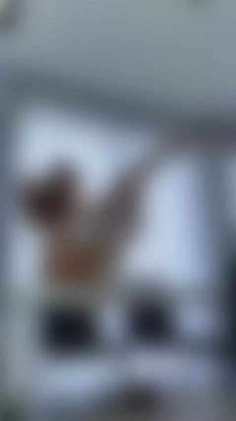 petitegirl, sexy, sexygirl by foxyvibe