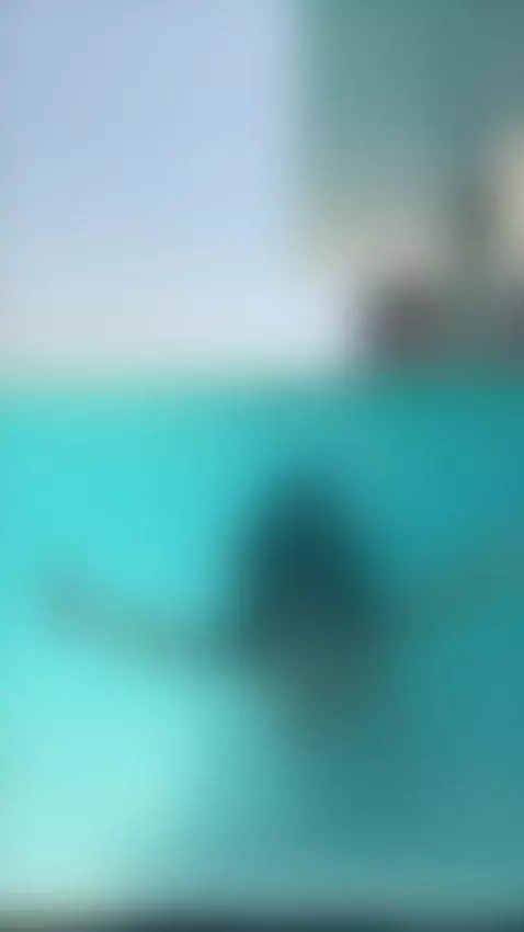 Just dive in by evajgri