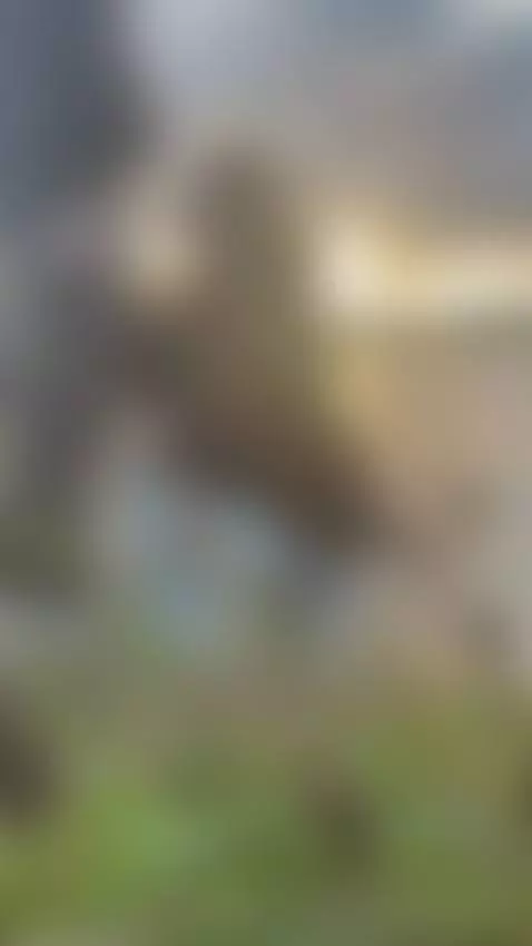 Do you like public blowjob? by honeyalexa