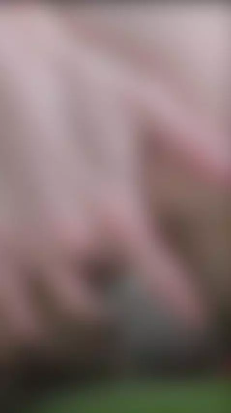 Someone who always lifts your spirits! Subscribe via the lin... by katianabi