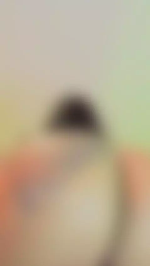 This thick Latina ass clapping so hard the room shakes 🍑 Wat... by casa-salsa