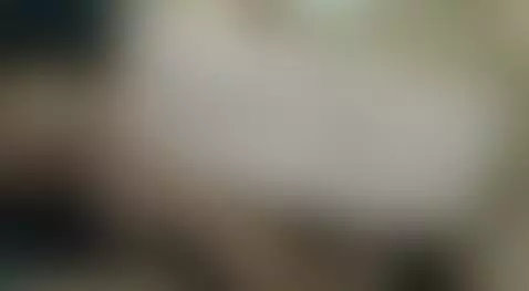 Video by swingertlalpan