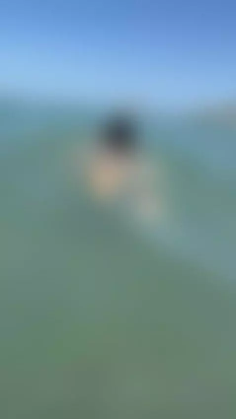 Beach day, will you join me?... by lizmonserrat1