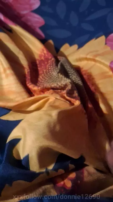 morning by donnie12690