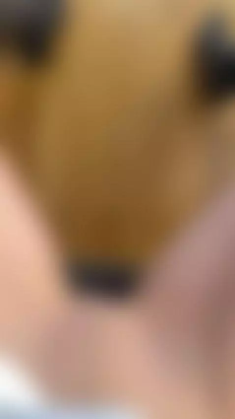 How would you reply if I asked you to lick me? by fitandannika