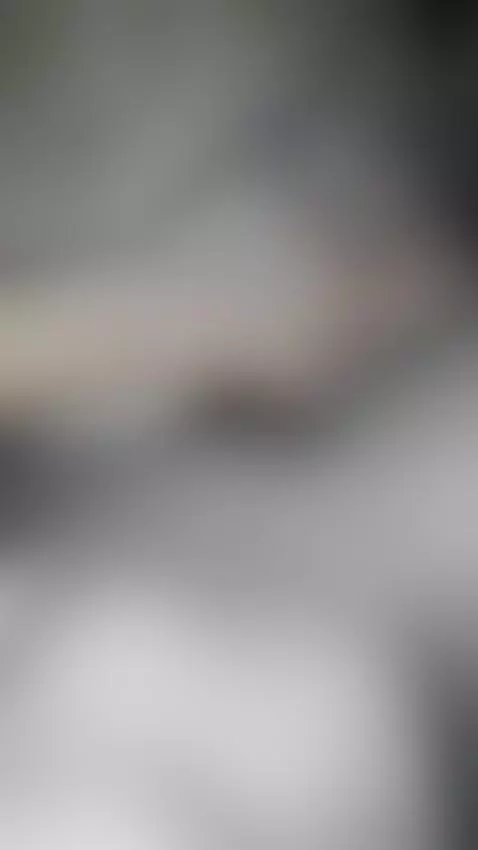 Video by priceybreaker